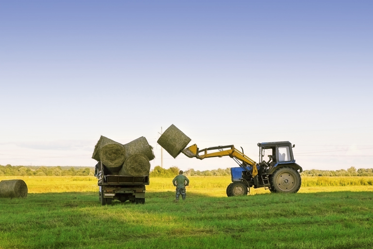 Get more information on contract farming and joint ventures