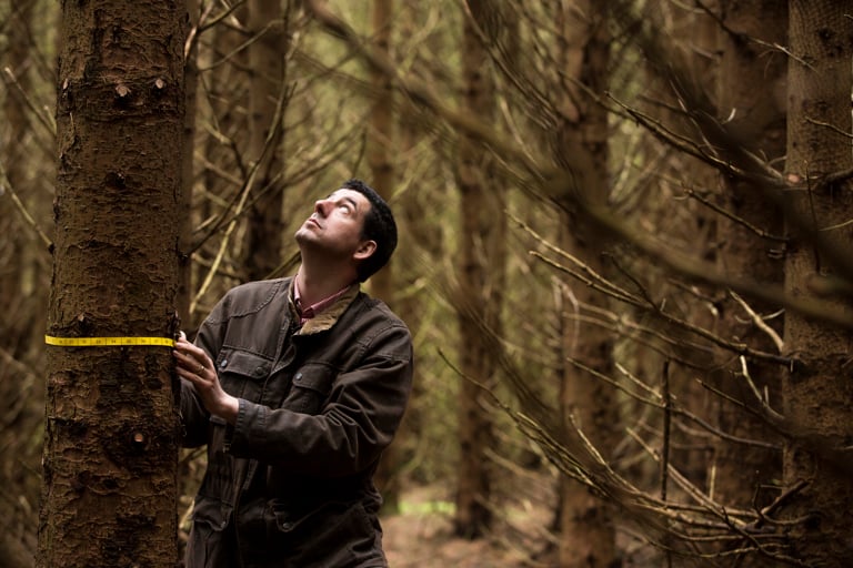 Forestry