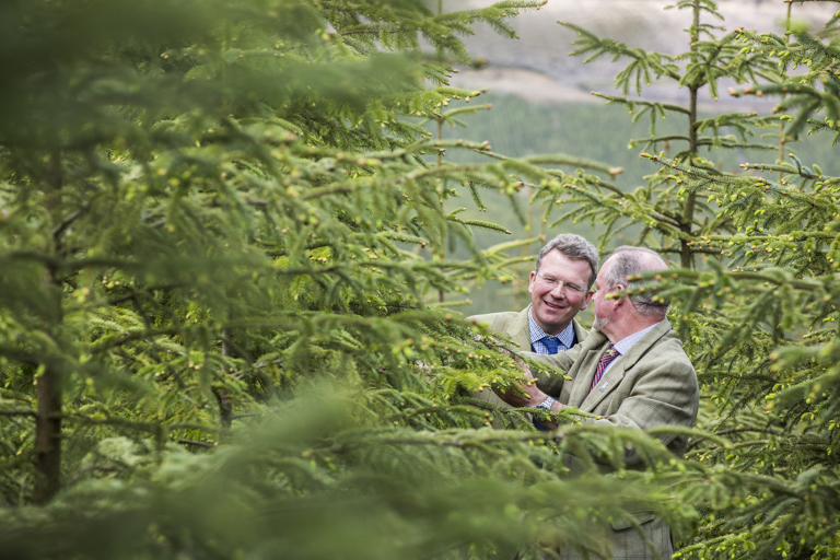 Bidwells_FORESTY_7