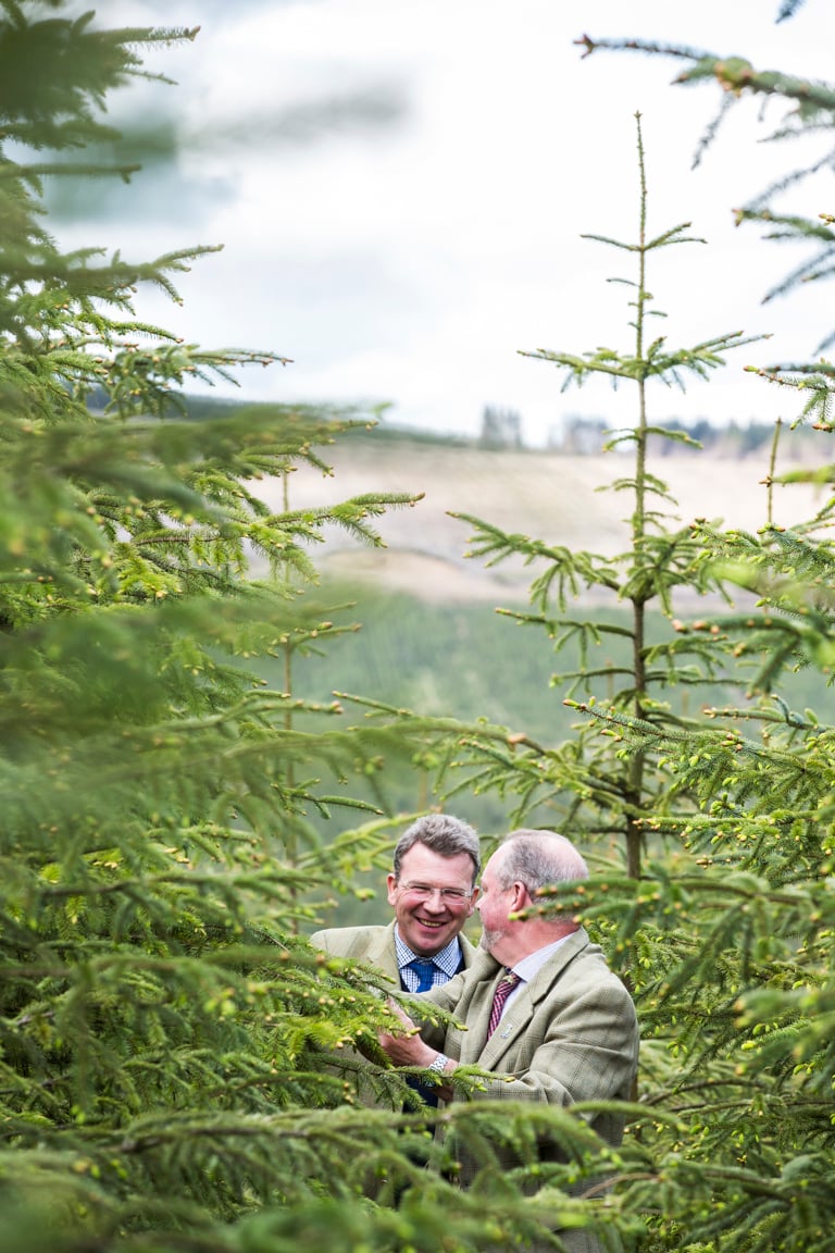 Bidwells_FORESTY_8