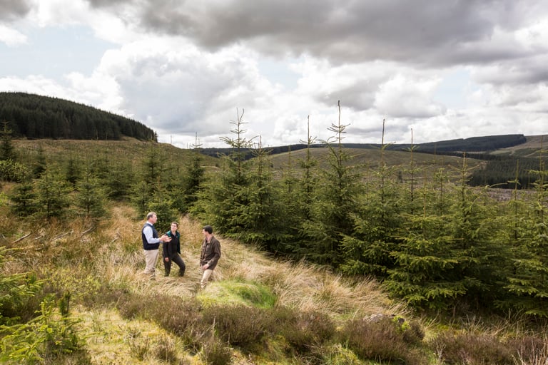 Forestry Team