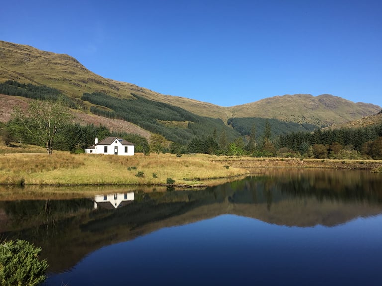 forestry-glen-massan