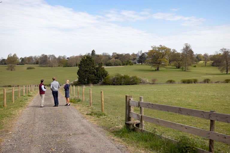Explore the opportunities around using my land for forestry