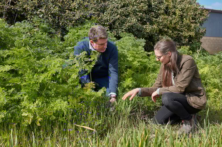 Seek or produce carbon credit offsets