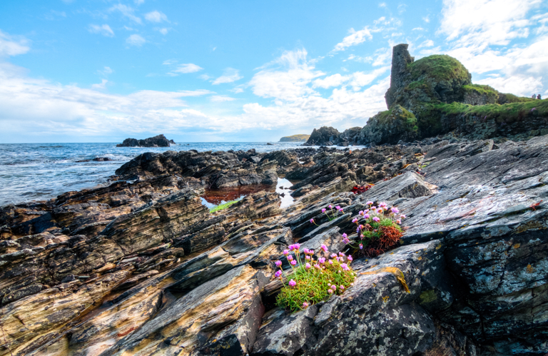 Develop a business in a coastal zone