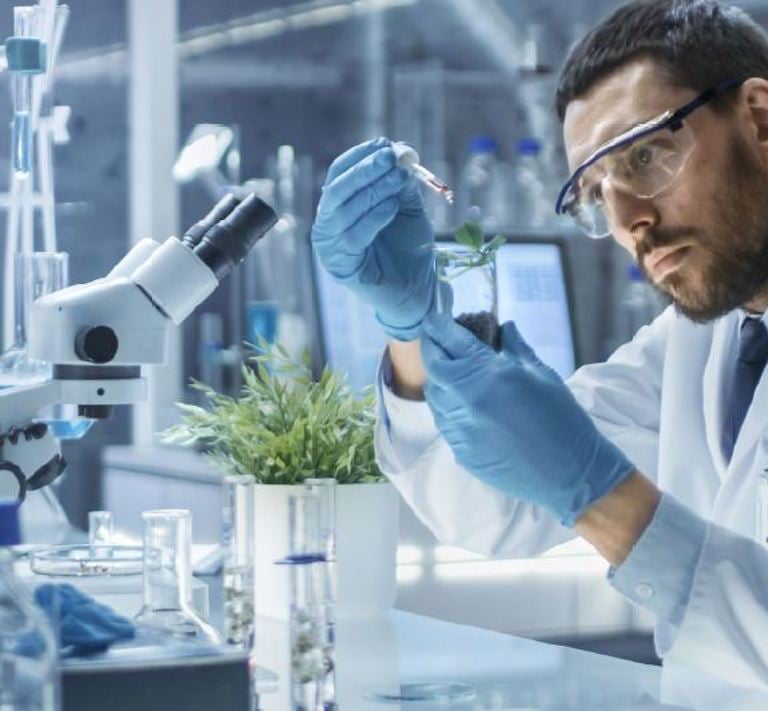 lab