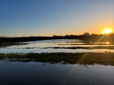 Image of Wetland