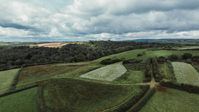 mornacott7.jpg