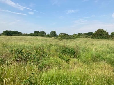 Image of Hampshire
