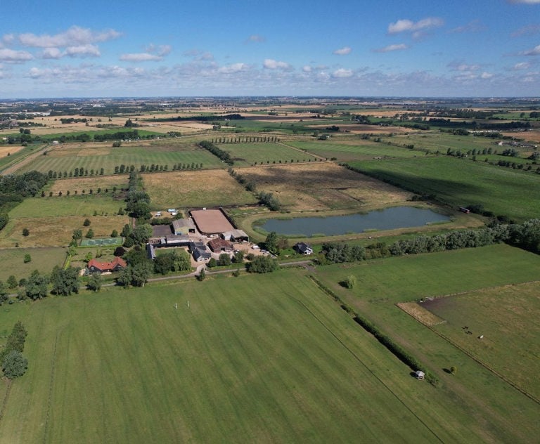 Frolic Farm