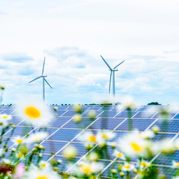 Co-located solar, onshore wind, battery storage and green hydrogen production.  