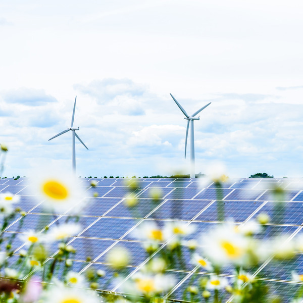 Co-located solar, onshore wind, battery storage and green hydrogen production.