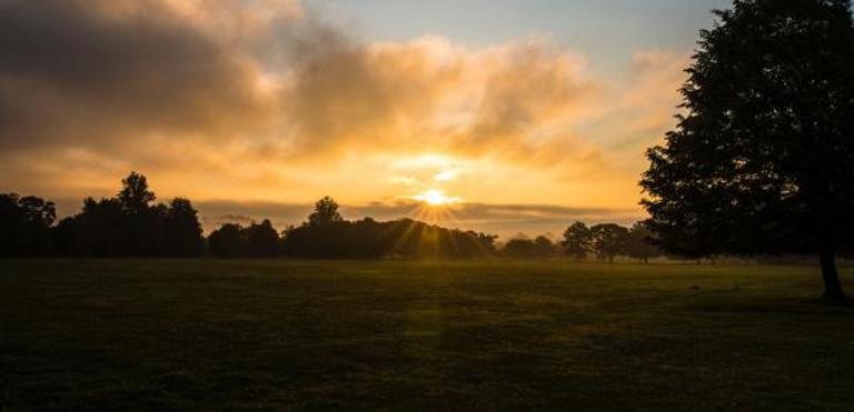 Cornbury Park 1
