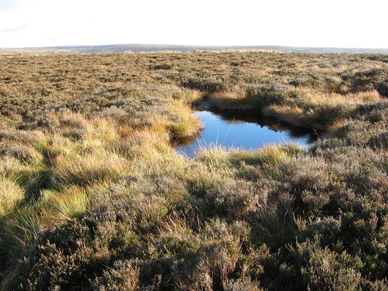 peat_pool_wedder_law