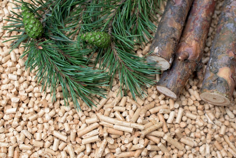Biomass