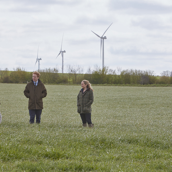 With a mix of traditional estate management services, rural diversification and development, the Wilbraham Estate is expertly managed