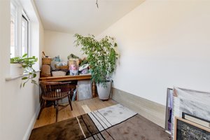 Alex Wood Road, Cambridge picture 5