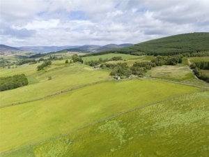 Glen Moy, Kirriemuir picture 3