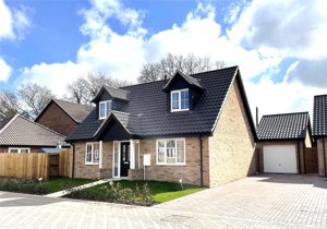 The Paddocks, Blofield Heath picture 1