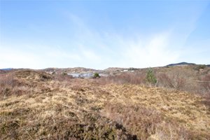 Toigal Development Plot, Morar picture 3
