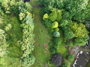 Plot At Ballinluig, Pitlochry picture 5