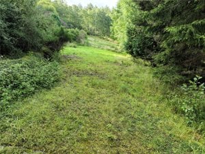 Plot At Ballinluig, Pitlochry picture 6