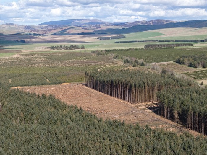 Drone Image