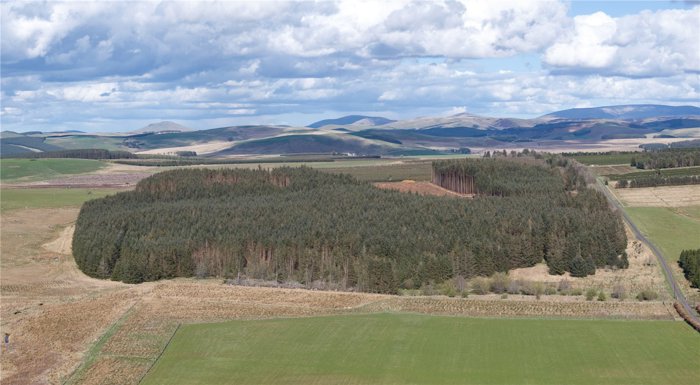 Drone Image