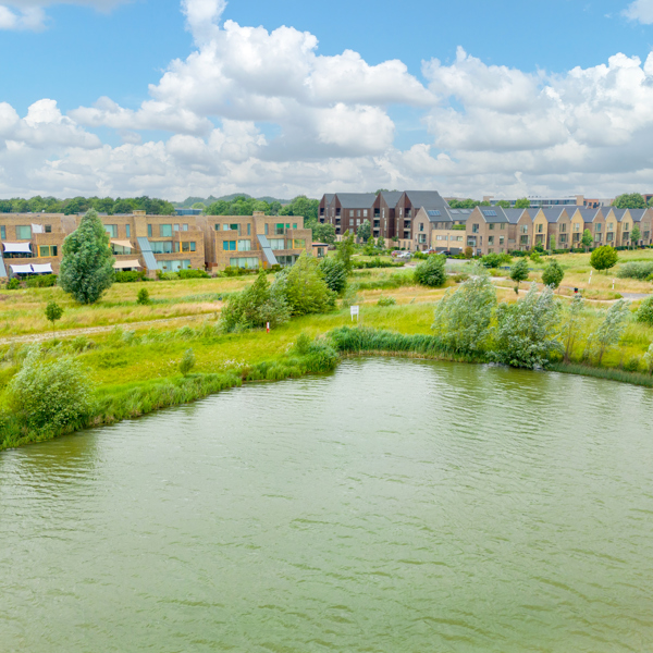 Why I love Cambridge: Trumpington