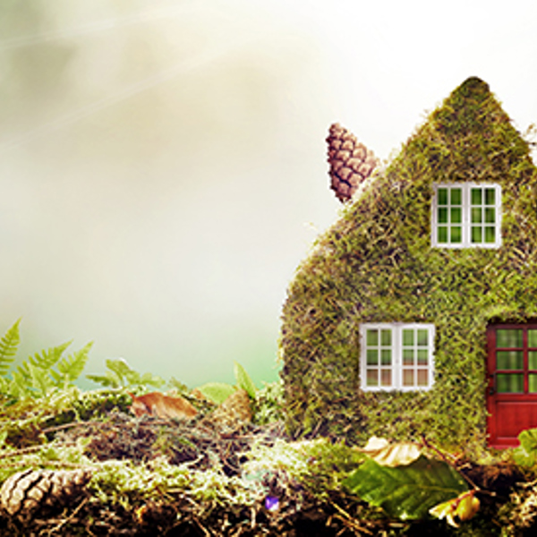 A home that helps you go green
