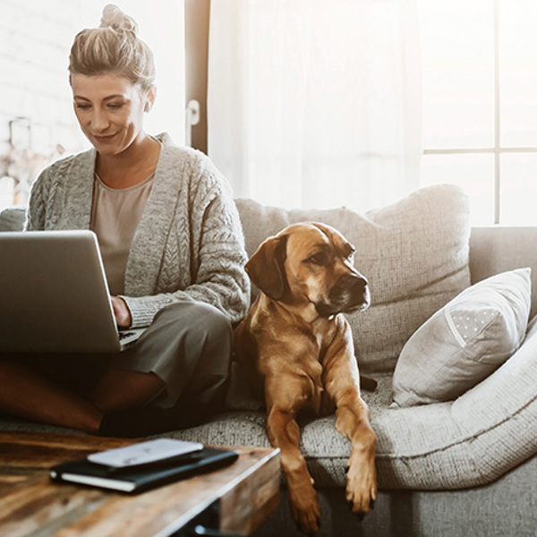 Homes Under Lockdown, Cambridge Survey Report, Autumn 2020