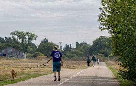 Image of walking