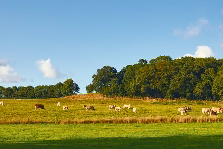 Image of NH Drayton Aug2021_MG_0604