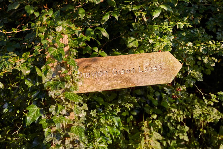 Image of NH Drayton Aug2021_MG_0621