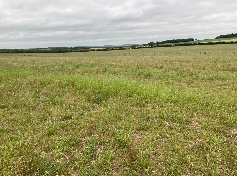 Lower Vally Farm
