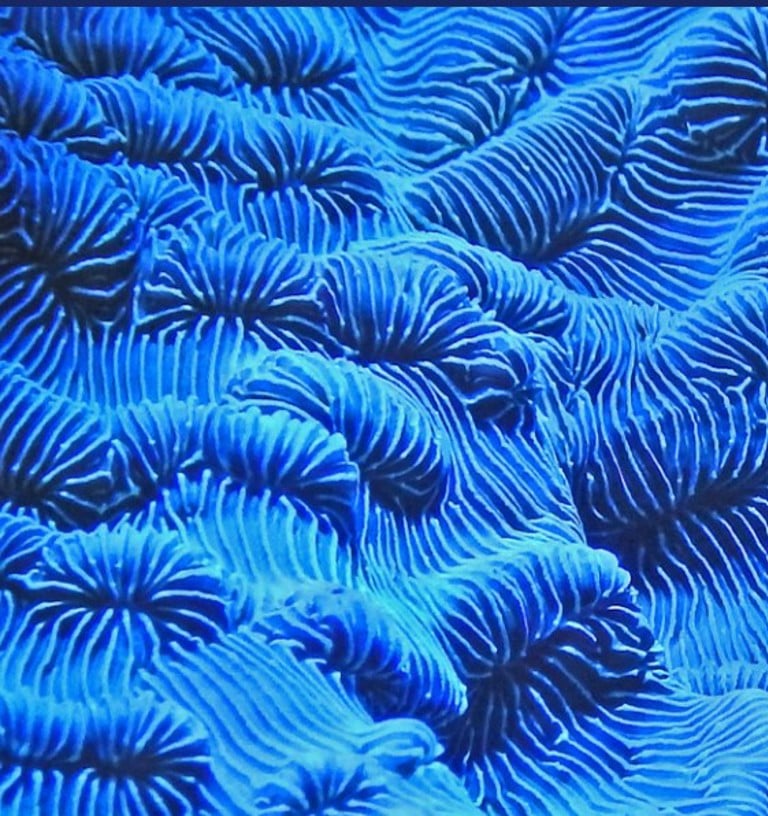 Investing in Life Sciences: Design