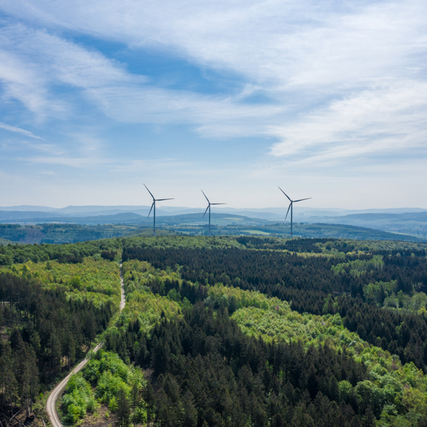Sustainability